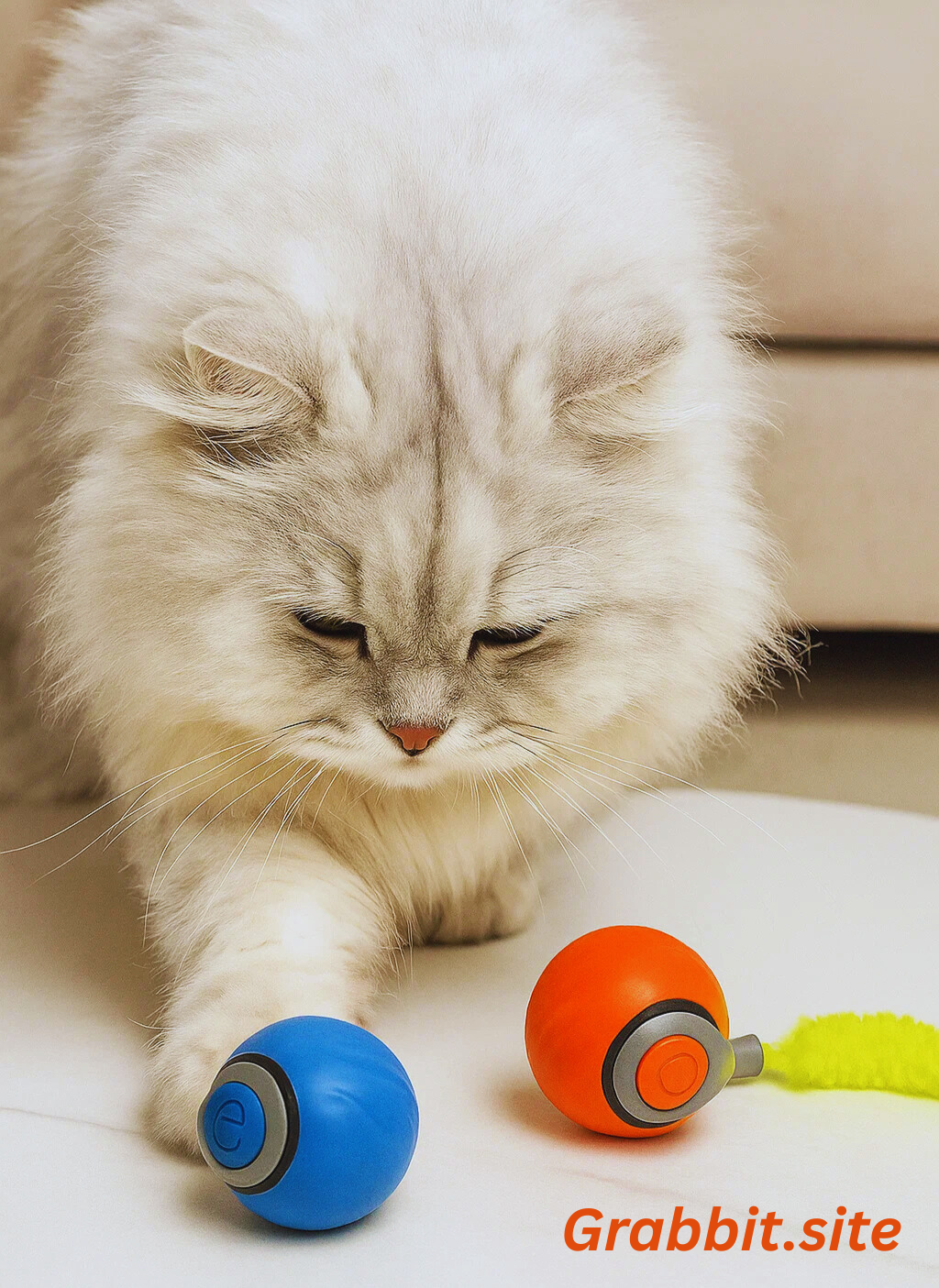 Speedy 2.0 | The Speedy Tail.