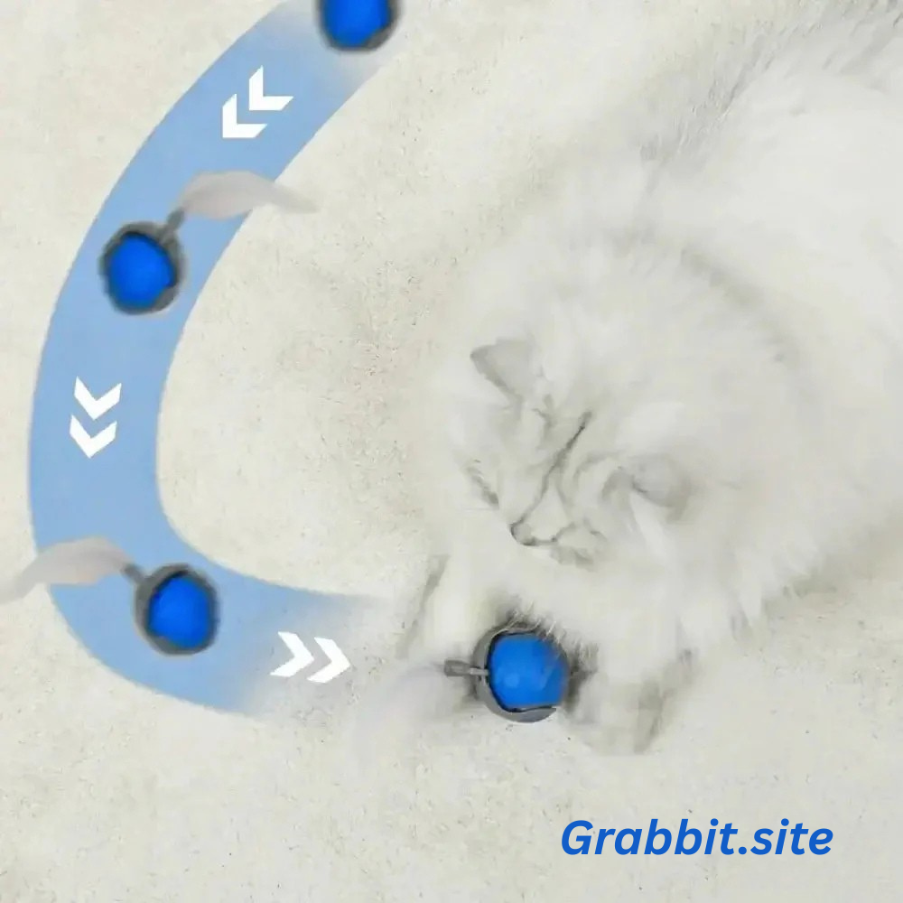 Speedy 2.0 | The Speedy Tail.