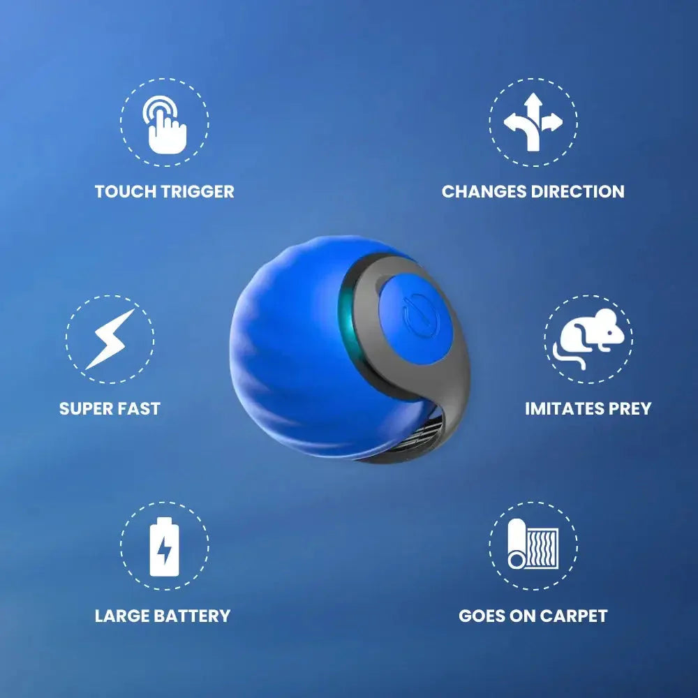 Speedy 2.0 | The Speedy Tail.